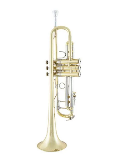 Bach Stradivarius Trumpet in Bb 19037