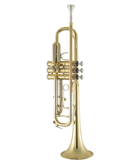 Bach Trumpet in Bb BTR311
