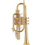 Bach Stradivarius Cornet in Bb 181L