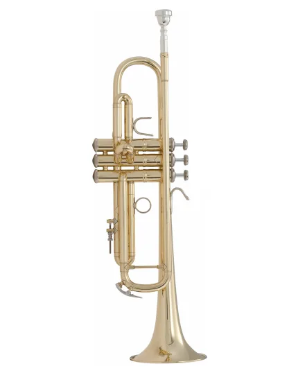 Bach Trumpet LR18043