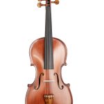 Gliga Gems 2 Gloria 4/4 Violin – Handcrafted for Intermediate Players